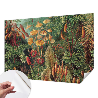 Fototapete nach Maß Exotischer Garten