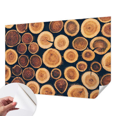 Motivtapete nach Maß mit Holzkreisen