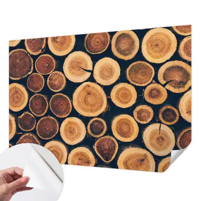 Motivtapete nach Maß mit Holzkreisen