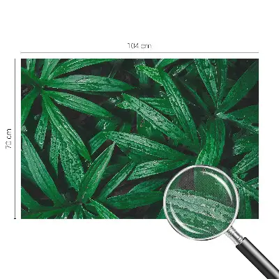 Fototapete nach Maß mit naturalistischem grünen Pflanzenmotiv