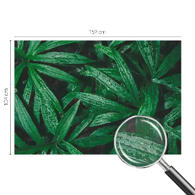 Fototapete nach Maß mit naturalistischem grünen Pflanzenmotiv
