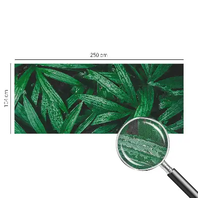 Fototapete nach Maß mit naturalistischem grünen Pflanzenmotiv