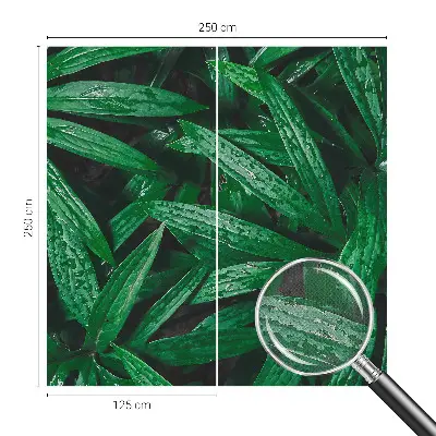 Fototapete nach Maß mit naturalistischem grünen Pflanzenmotiv