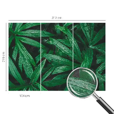 Fototapete nach Maß mit naturalistischem grünen Pflanzenmotiv