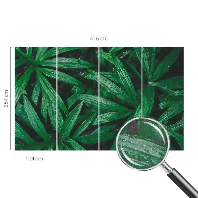 Fototapete nach Maß mit naturalistischem grünen Pflanzenmotiv