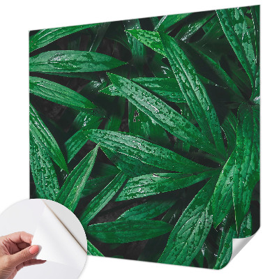 Fototapete nach Maß Natürliches Grün