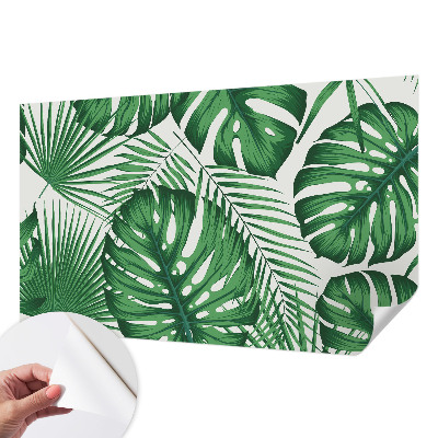 23D-Fototapete Tropische Blätter