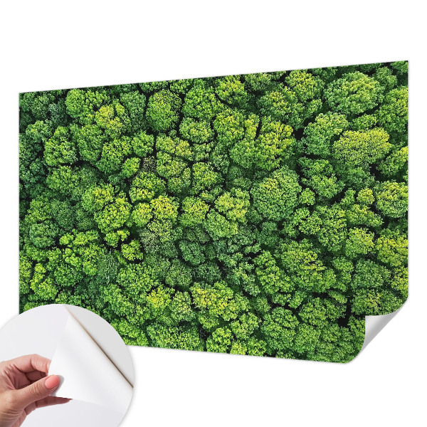 Fototapete nach Maß mit einem Waldpanorama
