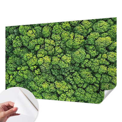 Fototapete nach Maß mit einem Waldpanorama