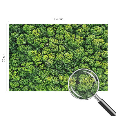 Fototapete nach Maß mit einem Waldpanorama