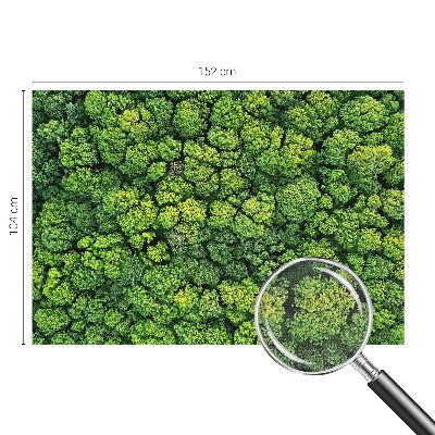 Fototapete nach Maß mit einem Waldpanorama