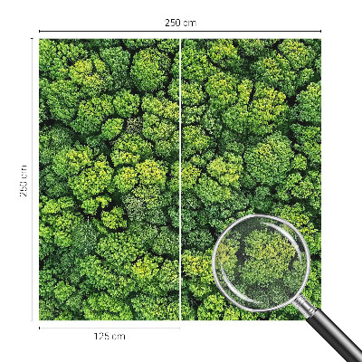 Fototapete nach Maß Waldpanorama