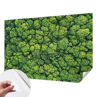 Fototapete nach Maß mit einem Waldpanorama