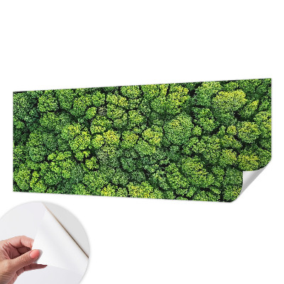 Fototapete nach Maß mit einem Waldpanorama