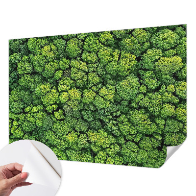 Fototapete nach Maß mit einem Waldpanorama