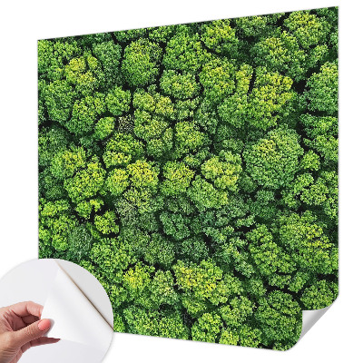 Fototapete nach Maß Waldpanorama