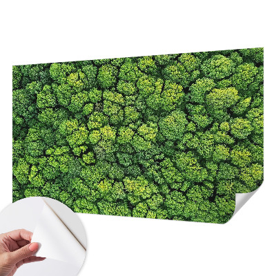 Fototapete nach Maß mit einem Waldpanorama