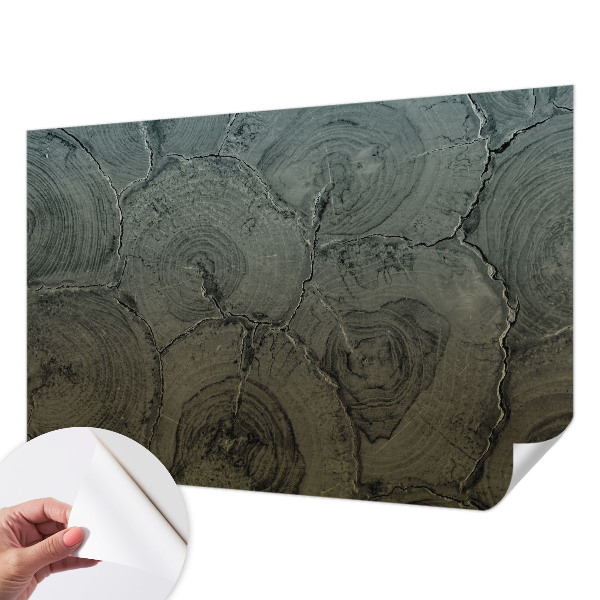 24D-Fototapete fürs Schlafzimmer Holzringe