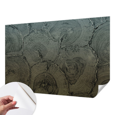 24D-Fototapete fürs Schlafzimmer Holzringe