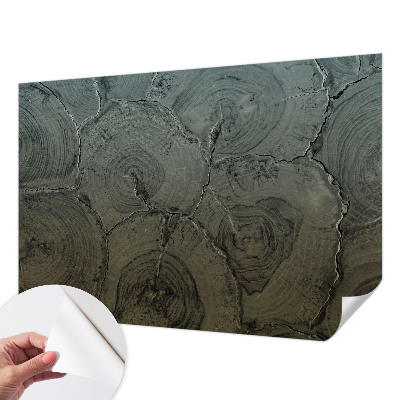 24D-Fototapete fürs Schlafzimmer Holzringe