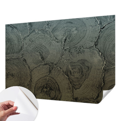 24D-Fototapete fürs Schlafzimmer Holzringe