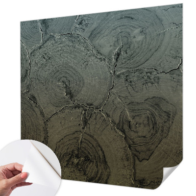 24D-Fototapete fürs Schlafzimmer Holzringe