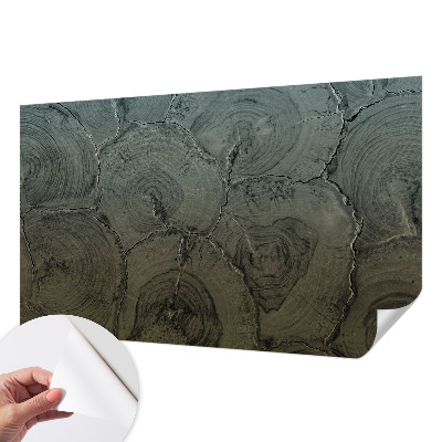 24D-Fototapete fürs Schlafzimmer Holzringe