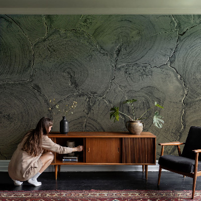 24D-Fototapete fürs Schlafzimmer Holzringe