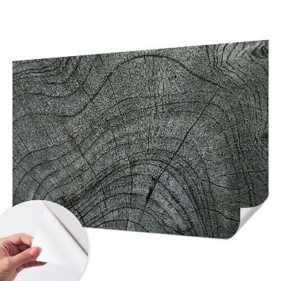 24D-Fototapete fürs Wohnzimmer Maserungsmuster