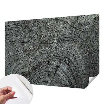 24D-Fototapete fürs Wohnzimmer Maserungsmuster