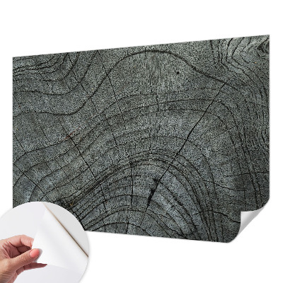 24D-Fototapete fürs Wohnzimmer Maserungsmuster