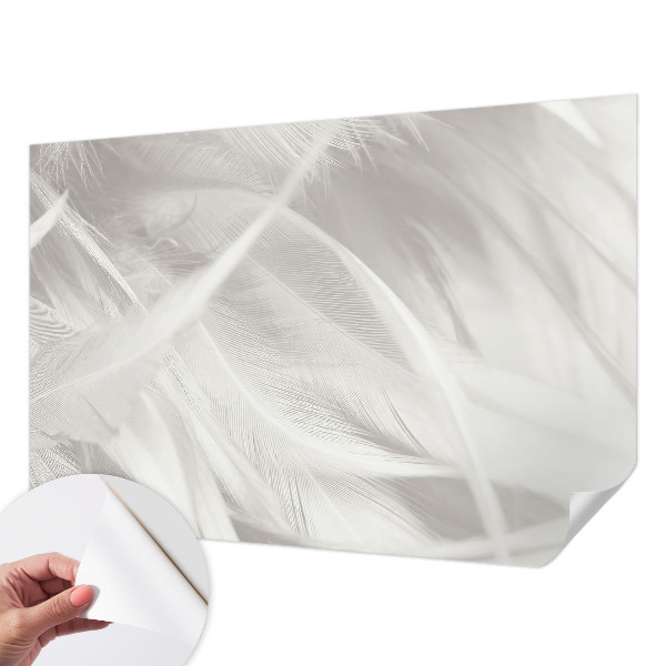 27D-Fototapete fürs Wohnzimmer Feine Federn