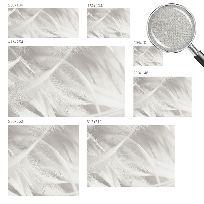 27D-Fototapete fürs Wohnzimmer Feine Federn