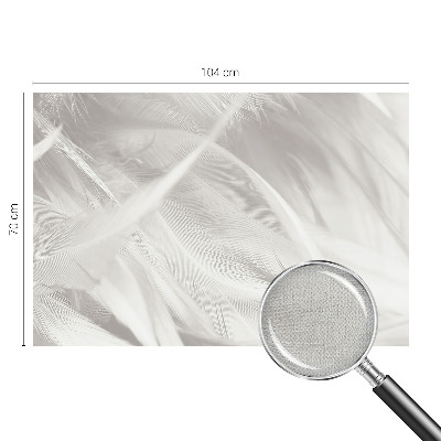 27D-Fototapete fürs Wohnzimmer Feine Federn