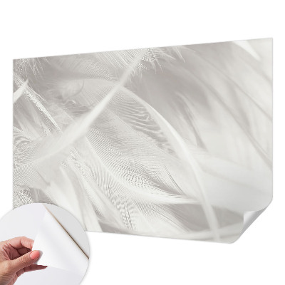 27D-Fototapete fürs Wohnzimmer Feine Federn