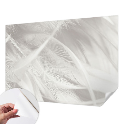 27D-Fototapete fürs Wohnzimmer Feine Federn