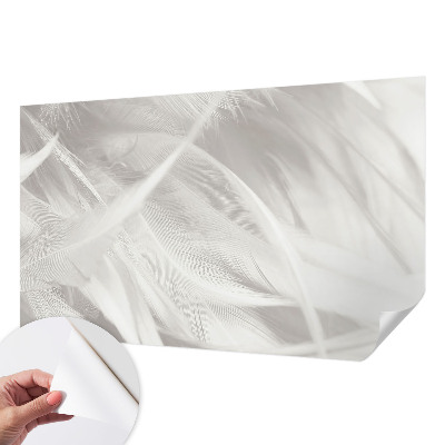 27D-Fototapete fürs Wohnzimmer Feine Federn