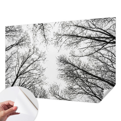 Hochwertige Bildtapete Kahle Äste