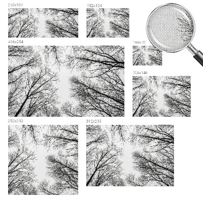 Hochwertige Bildtapete Kahle Äste