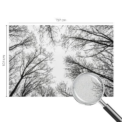 Hochwertige Bildtapete Kahle Äste