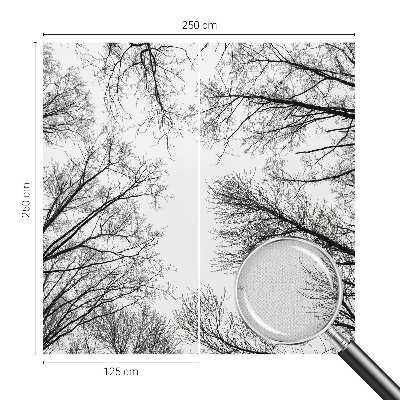 Hochwertige Bildtapete Kahle Äste