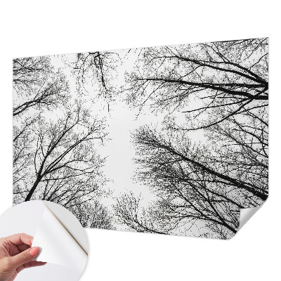 Hochwertige Bildtapete Kahle Äste