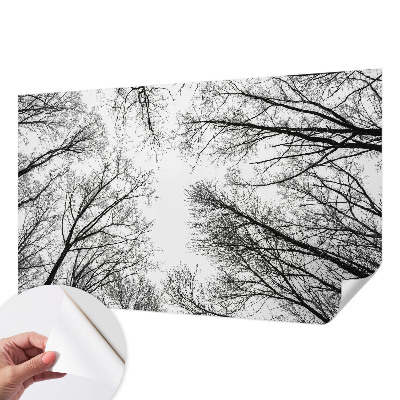 Hochwertige Bildtapete Kahle Äste