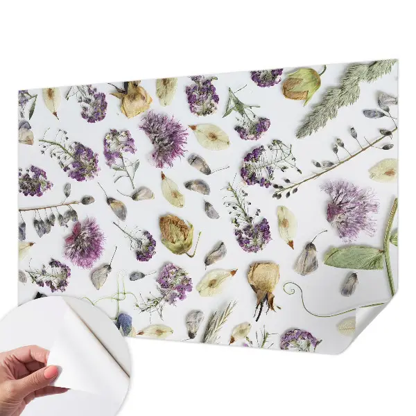 Selbstklebende Fototapete für die Wand mit Motiv getrockneter Blumen