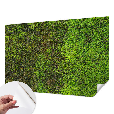 Fototapete in 3D-Optik mit grünem Teppichmotiv