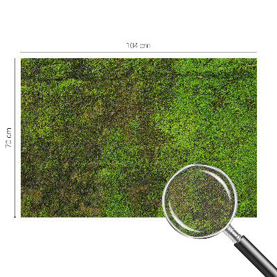 Fototapete in 3D-Optik mit grünem Teppichmotiv