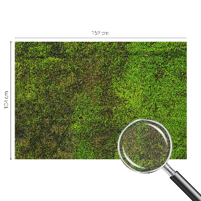 Fototapete in 3D-Optik mit grünem Teppichmotiv