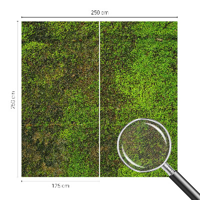 Fototapete in 3D-Optik mit grünem Teppichmotiv
