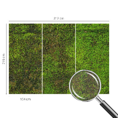 Fototapete in 3D-Optik Grüner Teppich