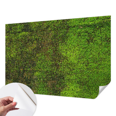 Fototapete in 3D-Optik mit grünem Teppichmotiv